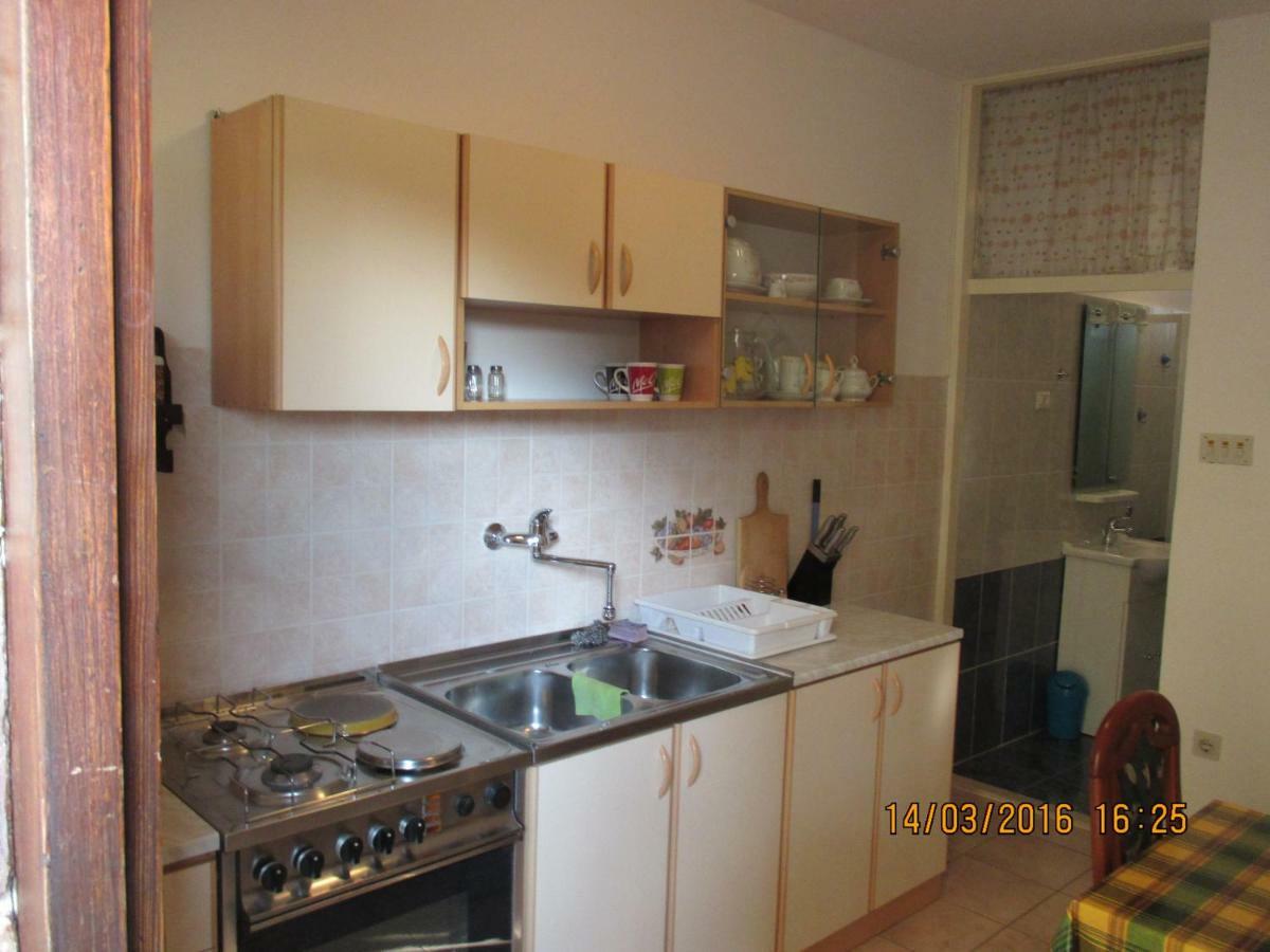 Apartments Sandra Novigrad  Exterior photo